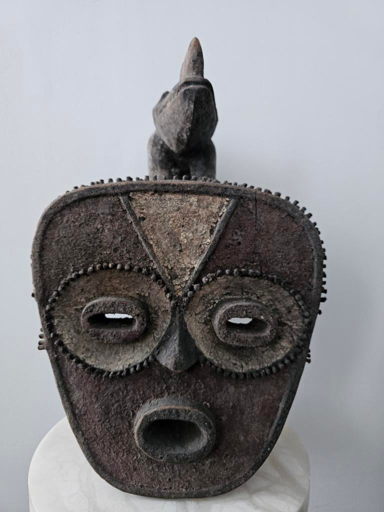 Grote Mambila-kuif. 45 cm/30 cm/29 cm