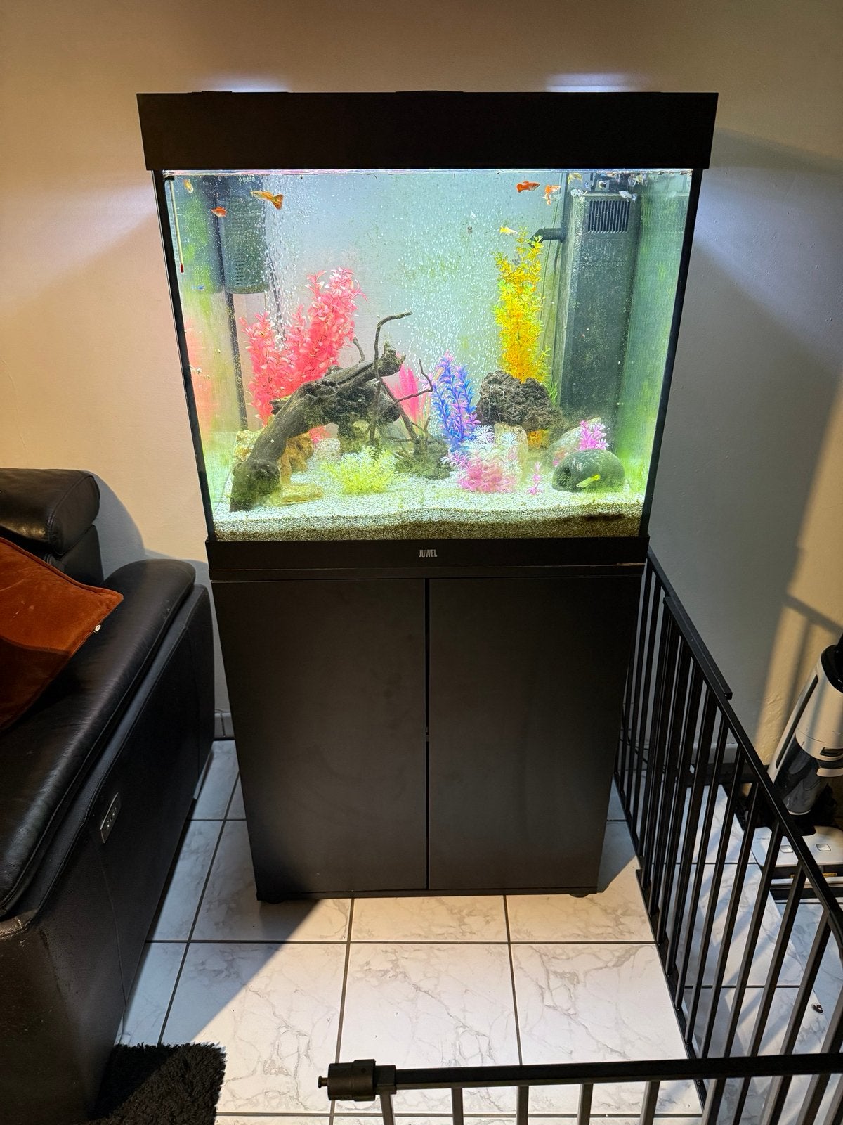 Aquarium juwel Lido 240l, Enlèvement, Pompe, Comme neuf, Juwel