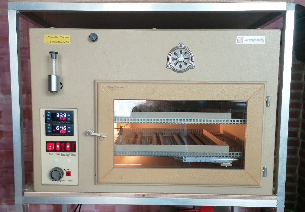 Broeikast Grumbach S84, Dieren en Toebehoren, Ophalen, Gebruikt