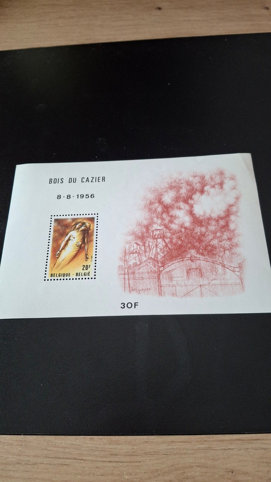 Feuillet Bois du Cazier