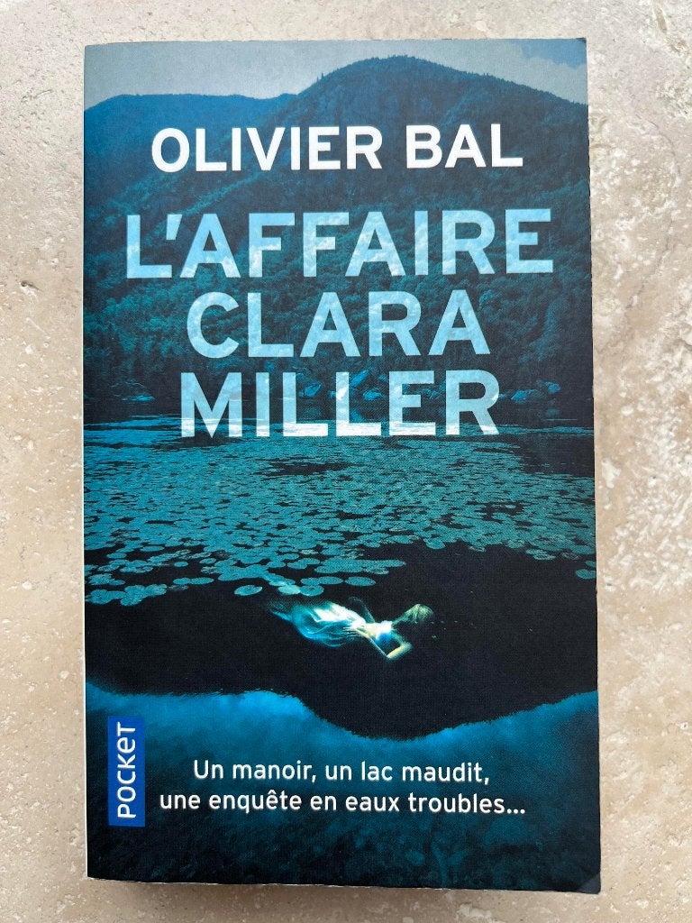 Romans thrillers divers, Livres, Enlèvement