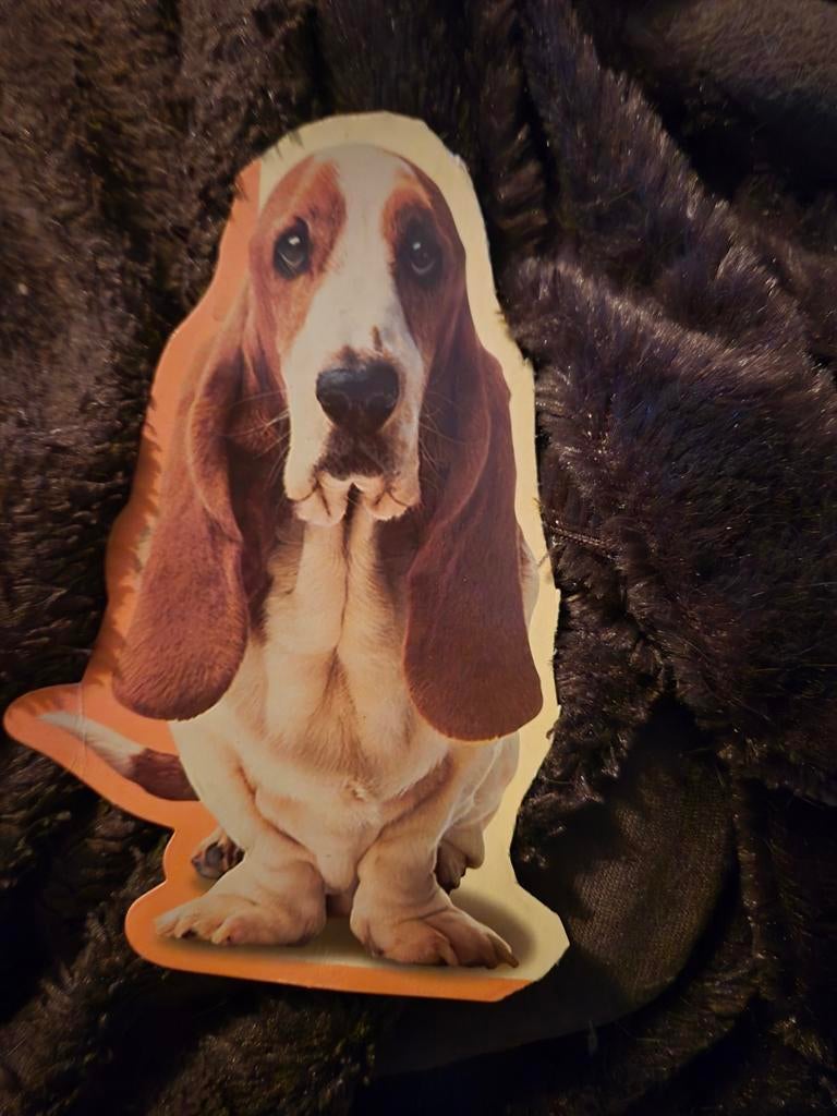 Magneet basset hound, Envoi