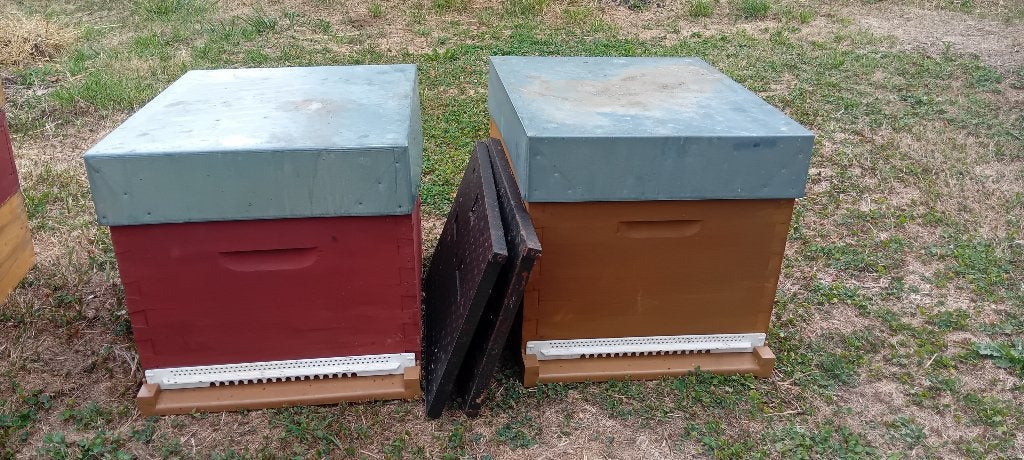 2 complete Dadant 10C-bijenkasten met accessoires, Ophalen, Gebruikt, Overige typen