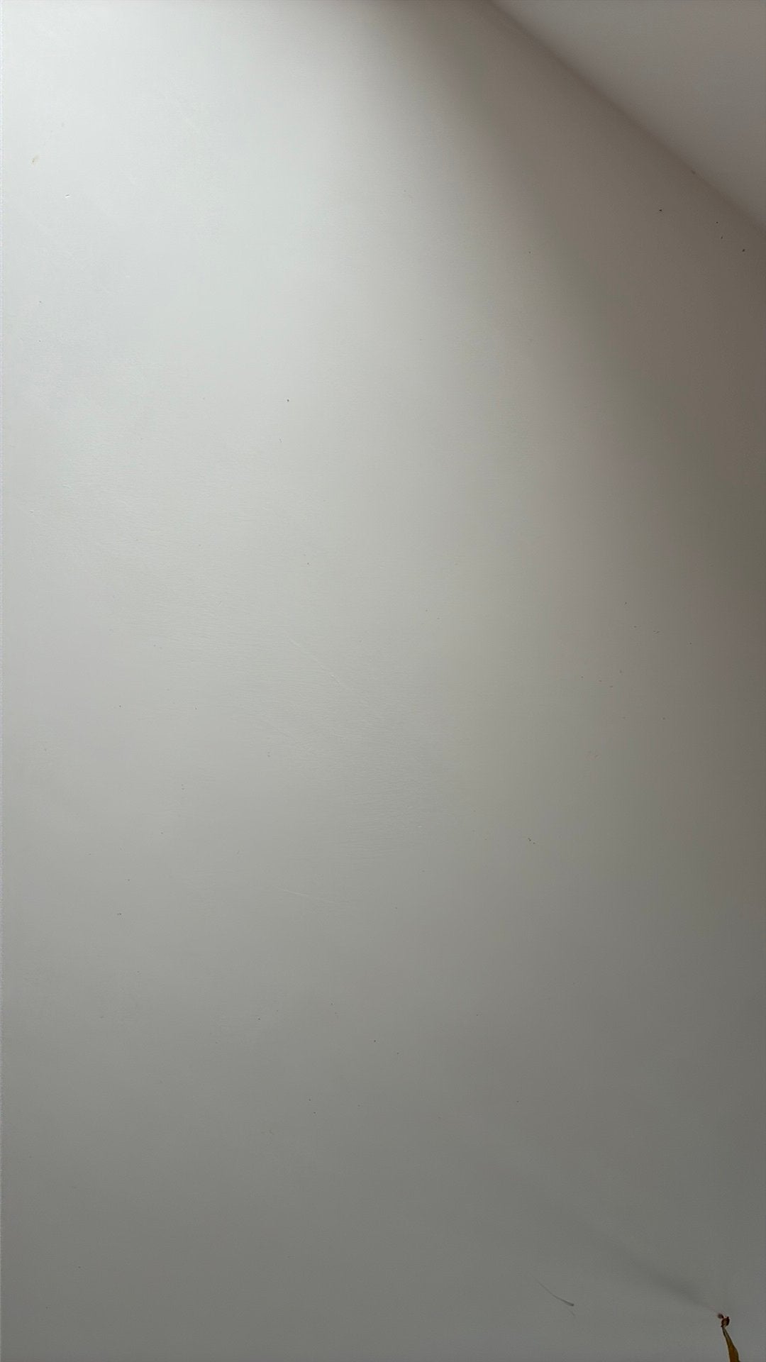 Recherche amortisseur, Enlèvement