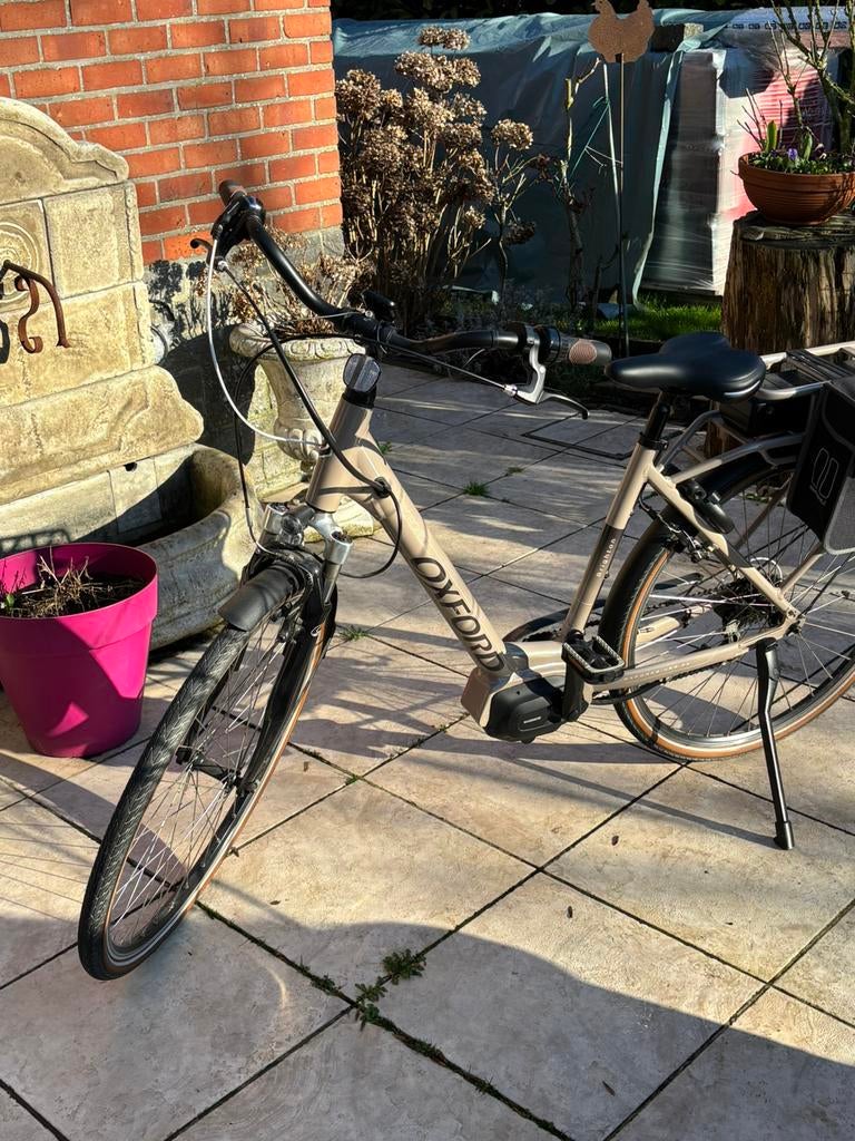 Marque Oxford type Brighton, Enlèvement, Comme neuf