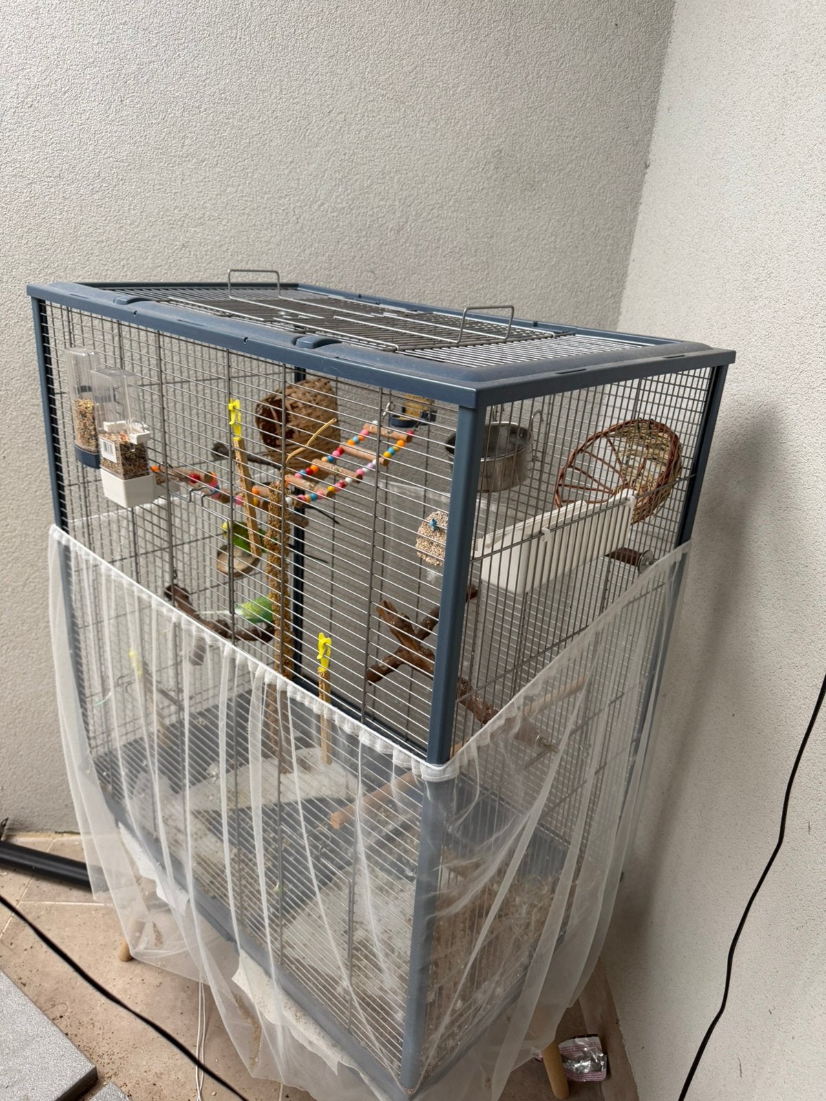 3 parkieten met kooi te koop, Enlèvement, Comme neuf