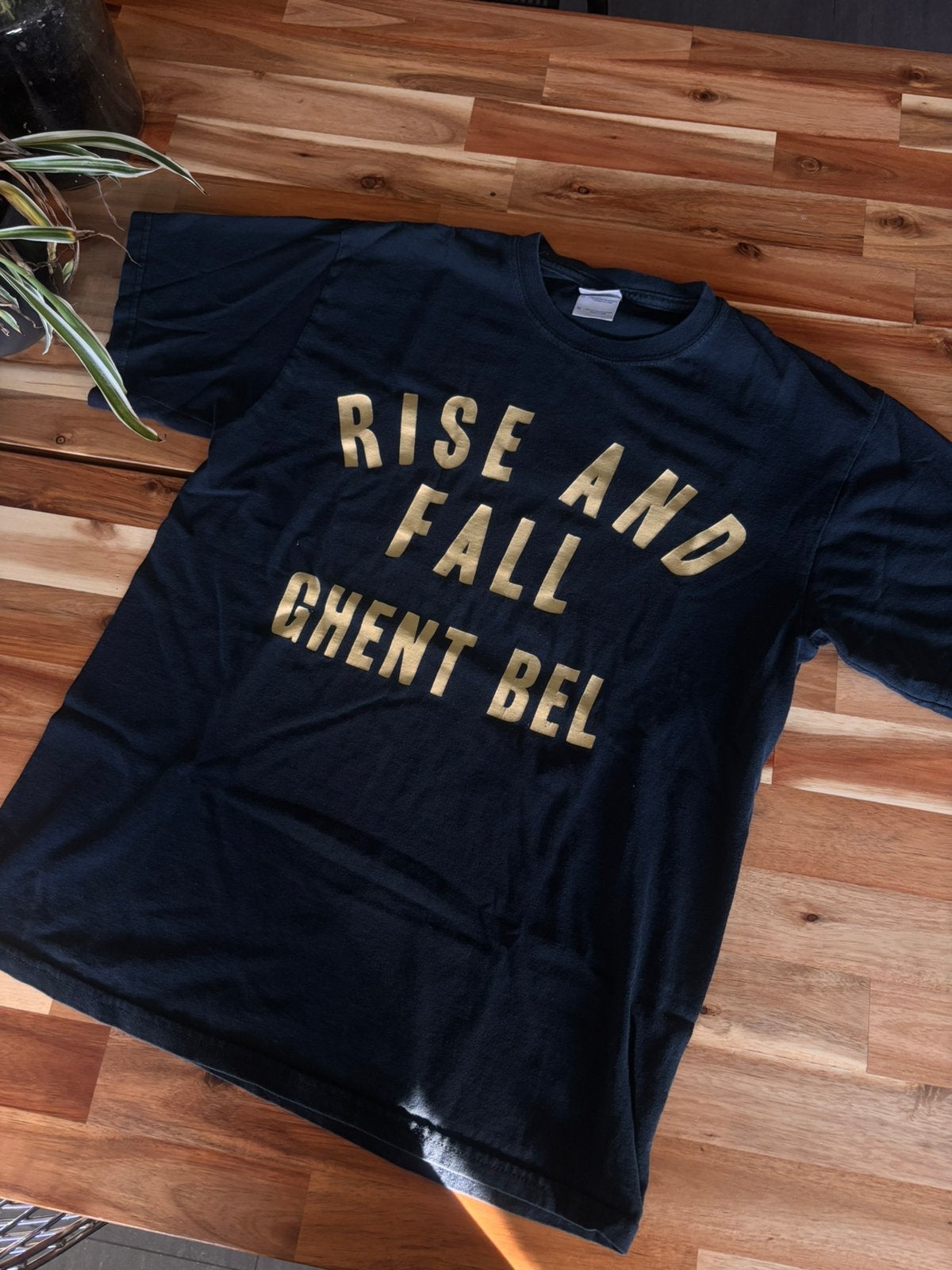 Rise and Fall tshirt band hardcore punk, Kleding | Heren, Ophalen, Zo goed als nieuw, Maat 48/50 (M), Zwart