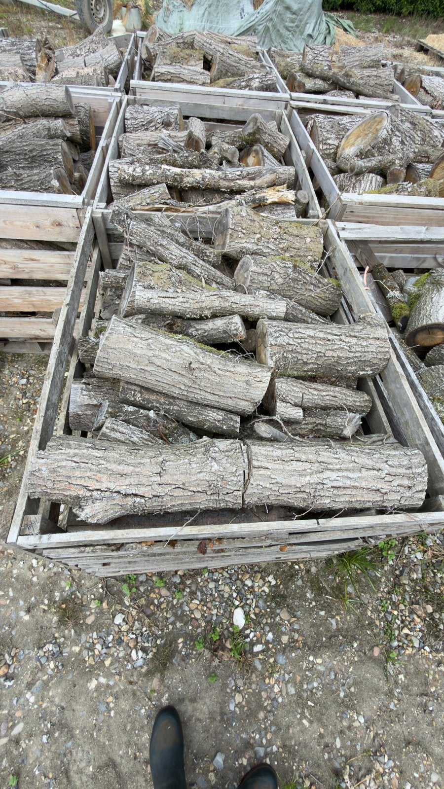 Gezaagd brandhout in boxen, Enlèvement, Chêne, Troncs d'arbres