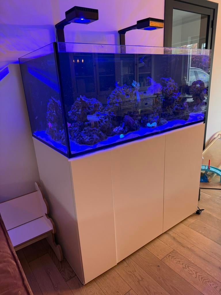 Aqua Medic 500 XD, Enlèvement, Comme neuf, Filter, Aqua Medic