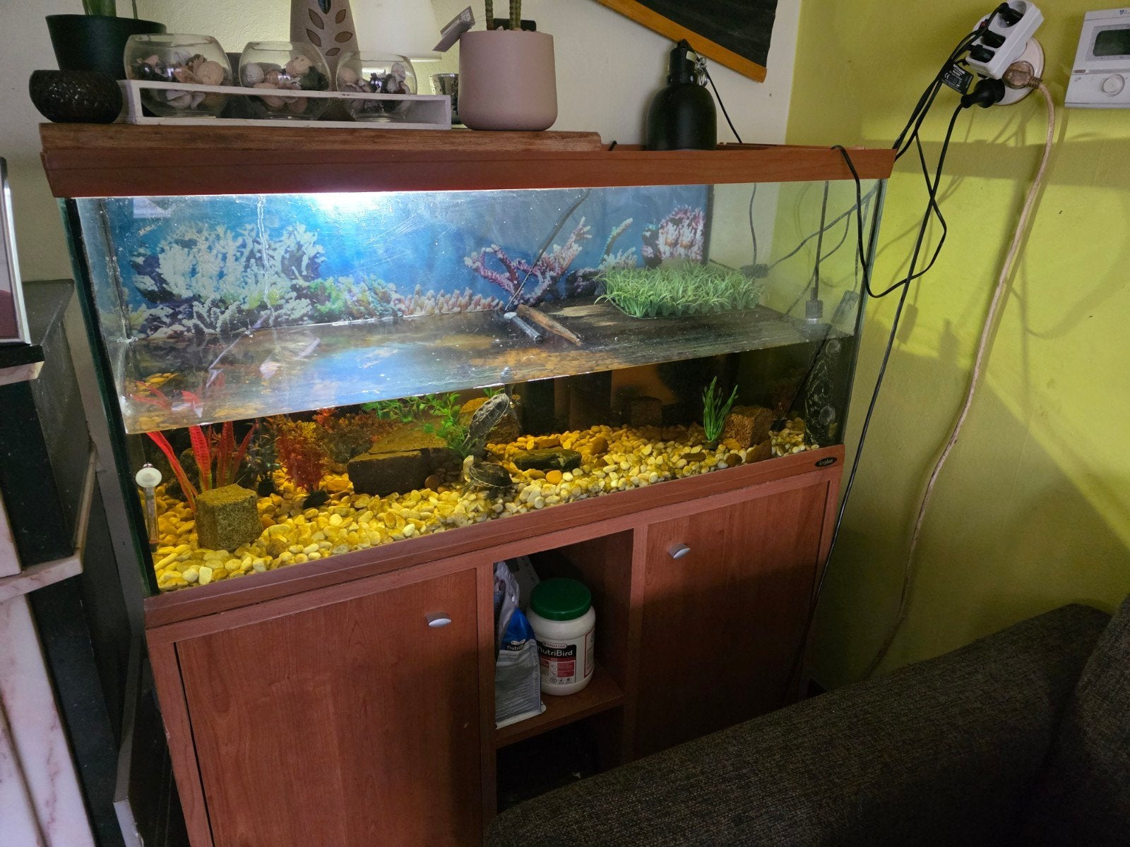 aquarium, Dieren en Toebehoren, Vissen | Aquaria en Toebehoren, Ophalen