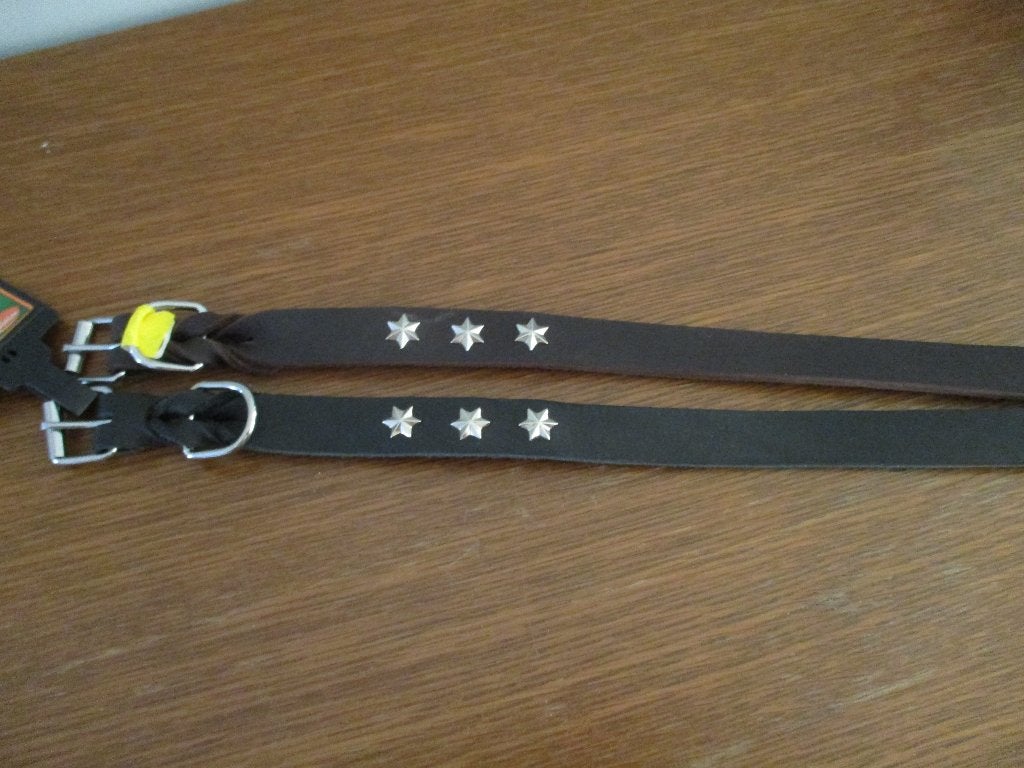 halsband voor hond, Ophalen of Verzenden, Nieuw