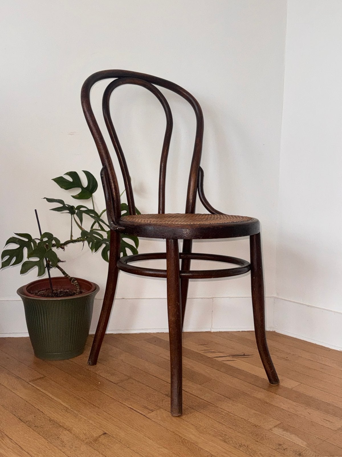 Chaise bistrot Mundus en bois courbé, cannage d’origine, Mundus, Mundus, Mundus, Thonet