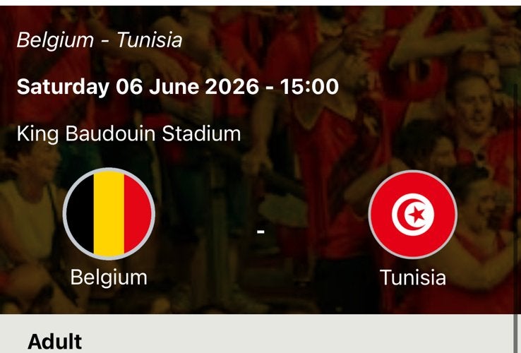 1x Billet Belgique-Tunisie 6/6, Une personne
