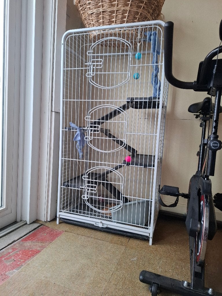 Kooi, Ophalen, Kooi, Gebruikt, Minder dan 75 cm