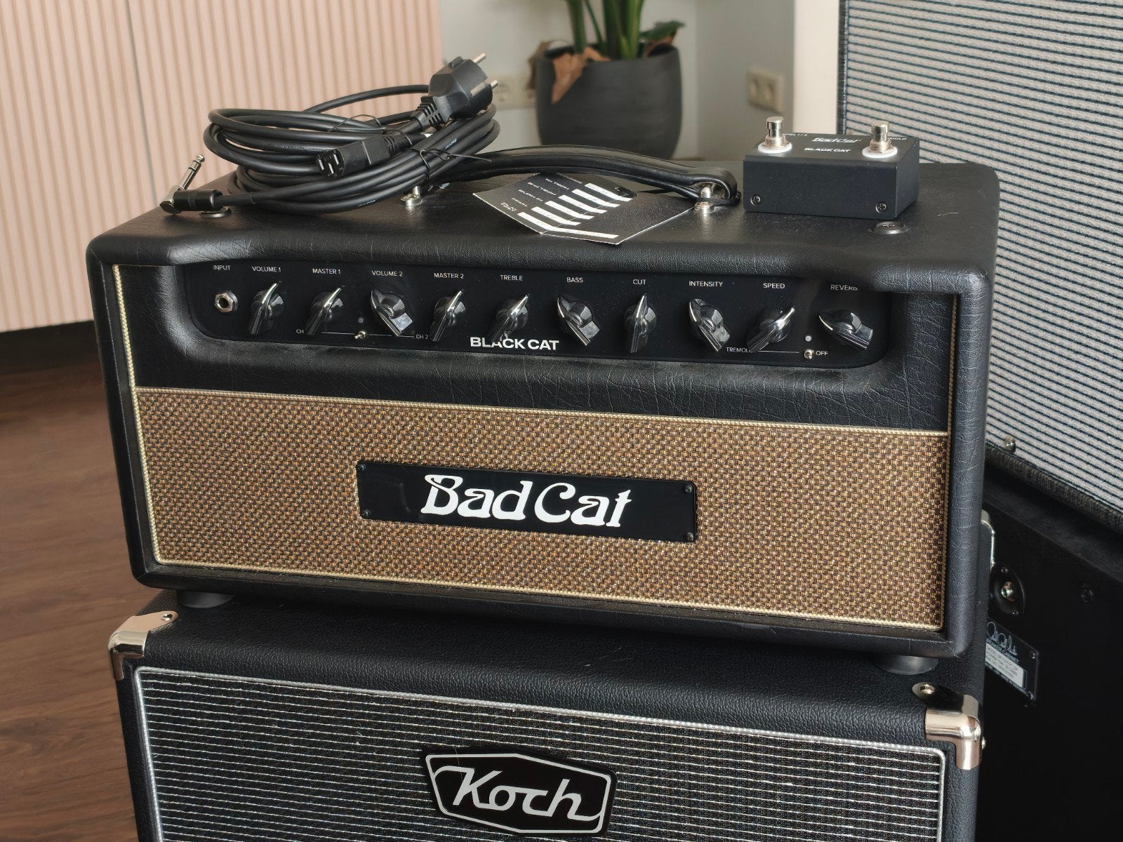 Bad Cat Black Cat 20 head, Muziek en Instrumenten, Versterkers | Bas en Gitaar, Ophalen