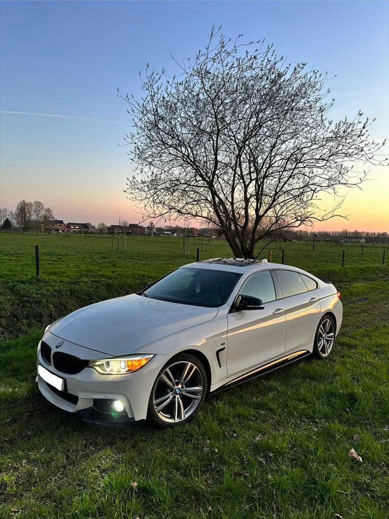 BMW 430i GRAND COUPE, Auto's, BMW, 1998 cc, Achterwielaandrijving, 4 cilinders, Leder