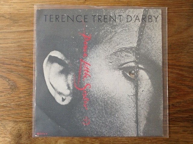 single terence trent d'arby, 7 inch, Ophalen of Verzenden, Beschermende buitenhoes, R&B en Soul