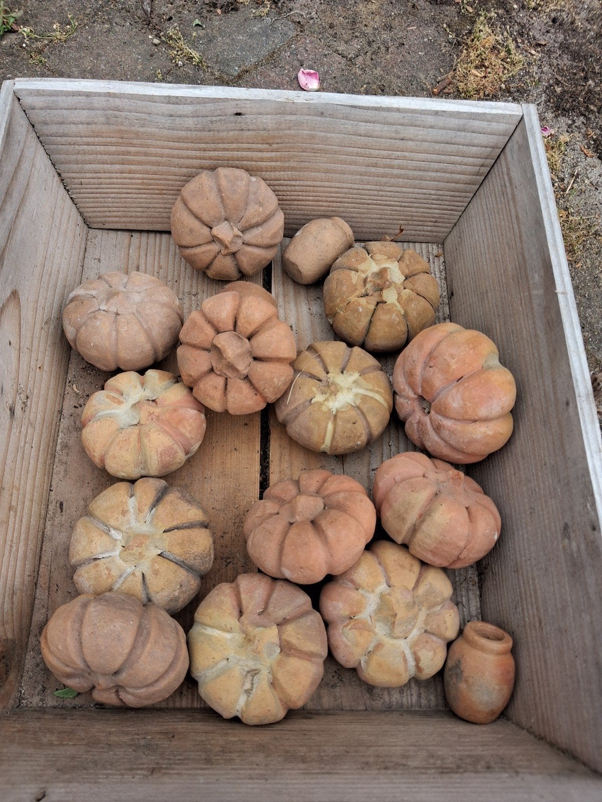 terracotta kleine pompoentjes, Tuin en Terras, Tuinbeelden, Ophalen