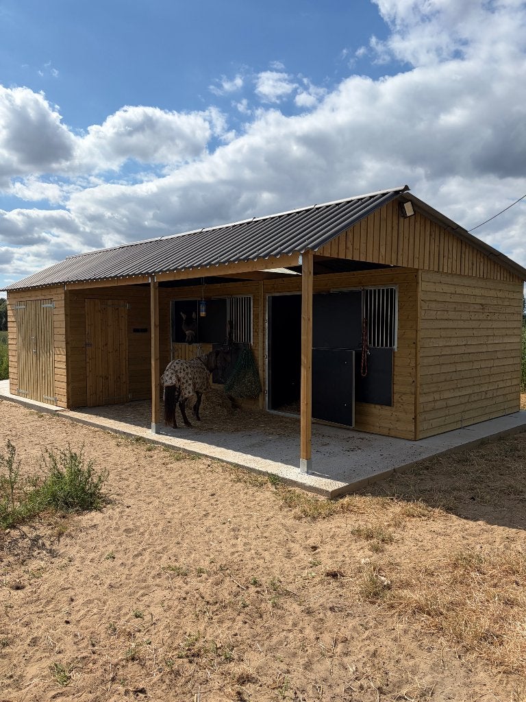 Weide + stal te huur, Weidegang, 1 paard of pony