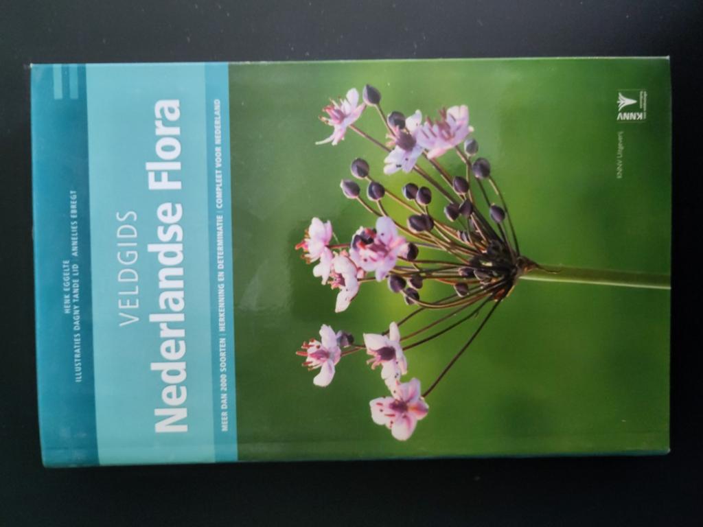 Henk Eggelte - Veldgids Nederlandse flora, Livres, Nature, Neuf, Fleurs, Plantes et Arbres, Enlèvement ou Envoi