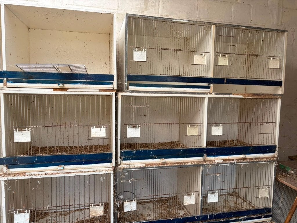 Gratis Vogelkooien, Ophalen, Gebruikt