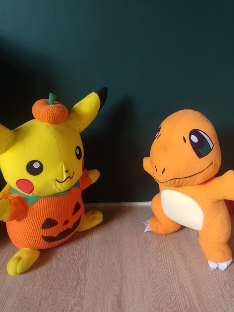 Charmander en Pikachu knuffels, Ophalen