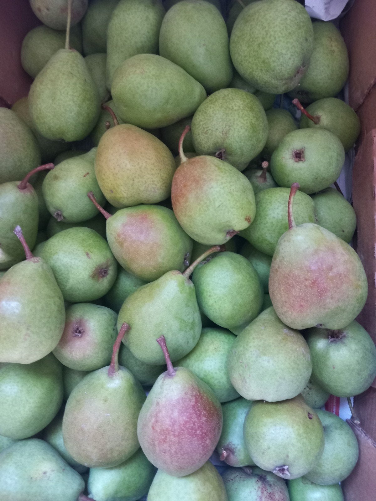 peren, Ophalen