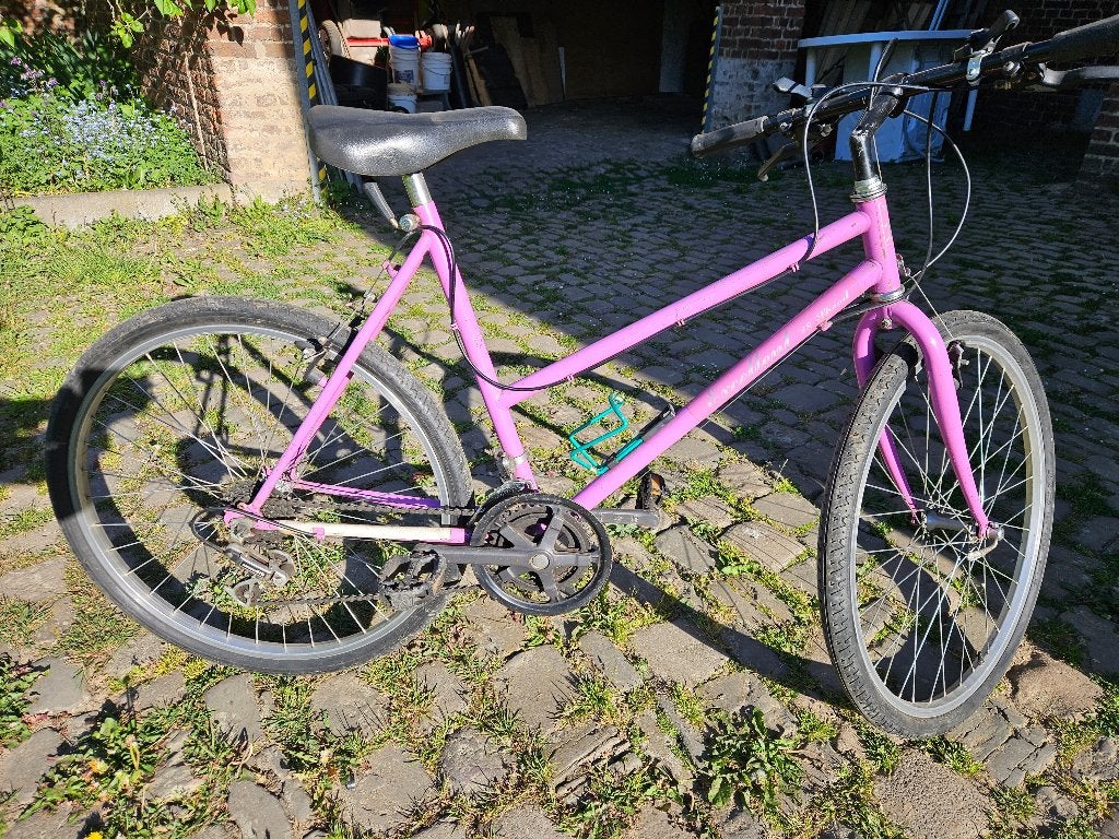 vtt 26 pouces dames, Vélos & Vélomoteurs, Frein sur jante, Femmes, 49 à 53 cm, Enlèvement