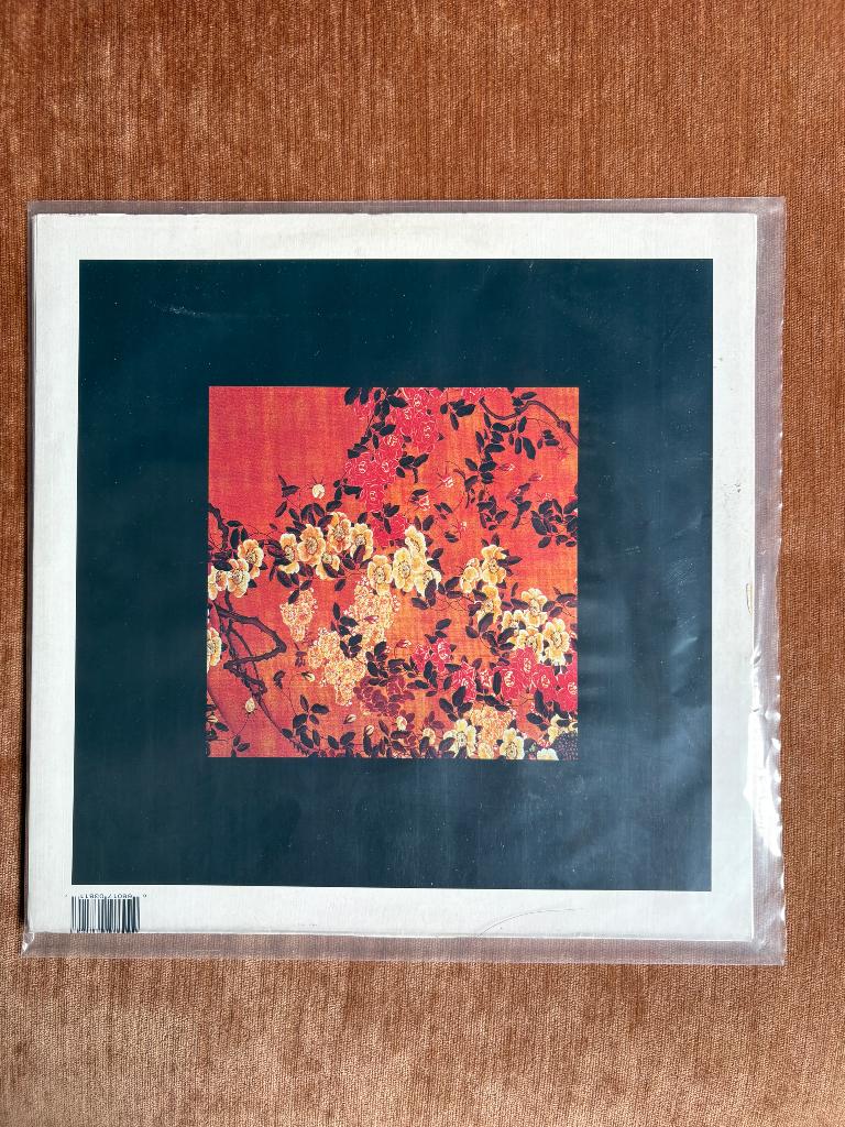 Susumu Yokota, The Boy And The Tree, 2 LP, Cd's en Dvd's, Vinyl | Overige Vinyl, Ophalen, Zo goed als nieuw, 12 inch