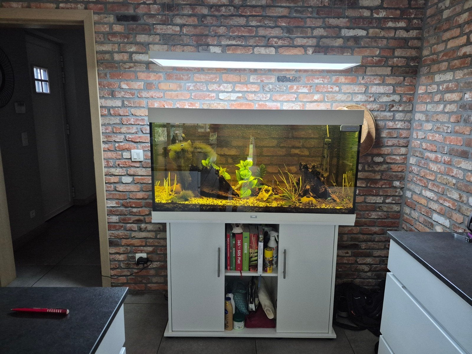 auqarium met alles op en aan., Ophalen, Zo goed als nieuw, Eheim, Inclusief toebehoren