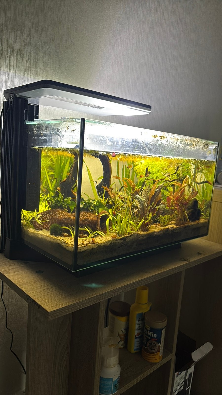 Aquarium 21L, Dieren en Toebehoren, Ophalen, Gebruikt, Gevuld zoetwateraquarium, Superfish