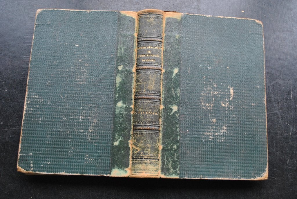 VAN DYCKE RECUEIL HERALDIQUE FAMILLES NOBLES BRUGES 1851, Boeken, Ophalen of Verzenden, Gelezen, VAN DYCKE