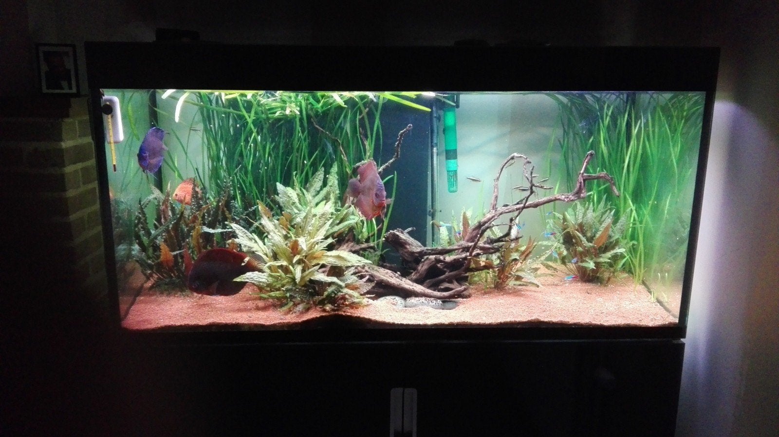 Eheim incpiria 400 zoetwater aquarium, Dieren en Toebehoren, Ophalen, Gebruikt, Eheim, Inclusief deksel