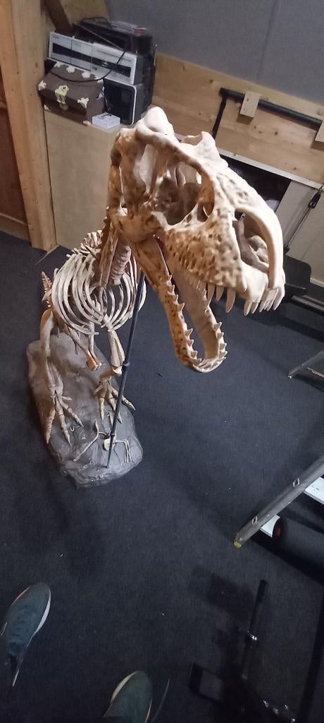 Construisez votre T-Rex : Maquette & fascicules, Enlèvement ou Envoi, Utilisé