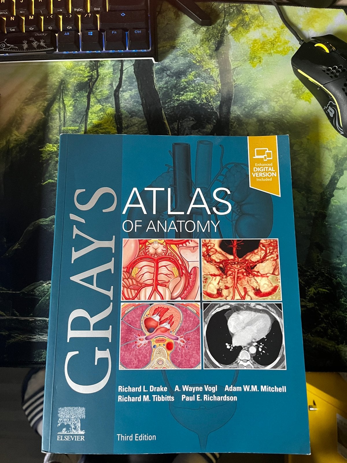anatomie boek, Boeken, Esoterie en Spiritualiteit, Zo goed als nieuw, Achtergrond en Informatie, Overige onderwerpen, Ophalen