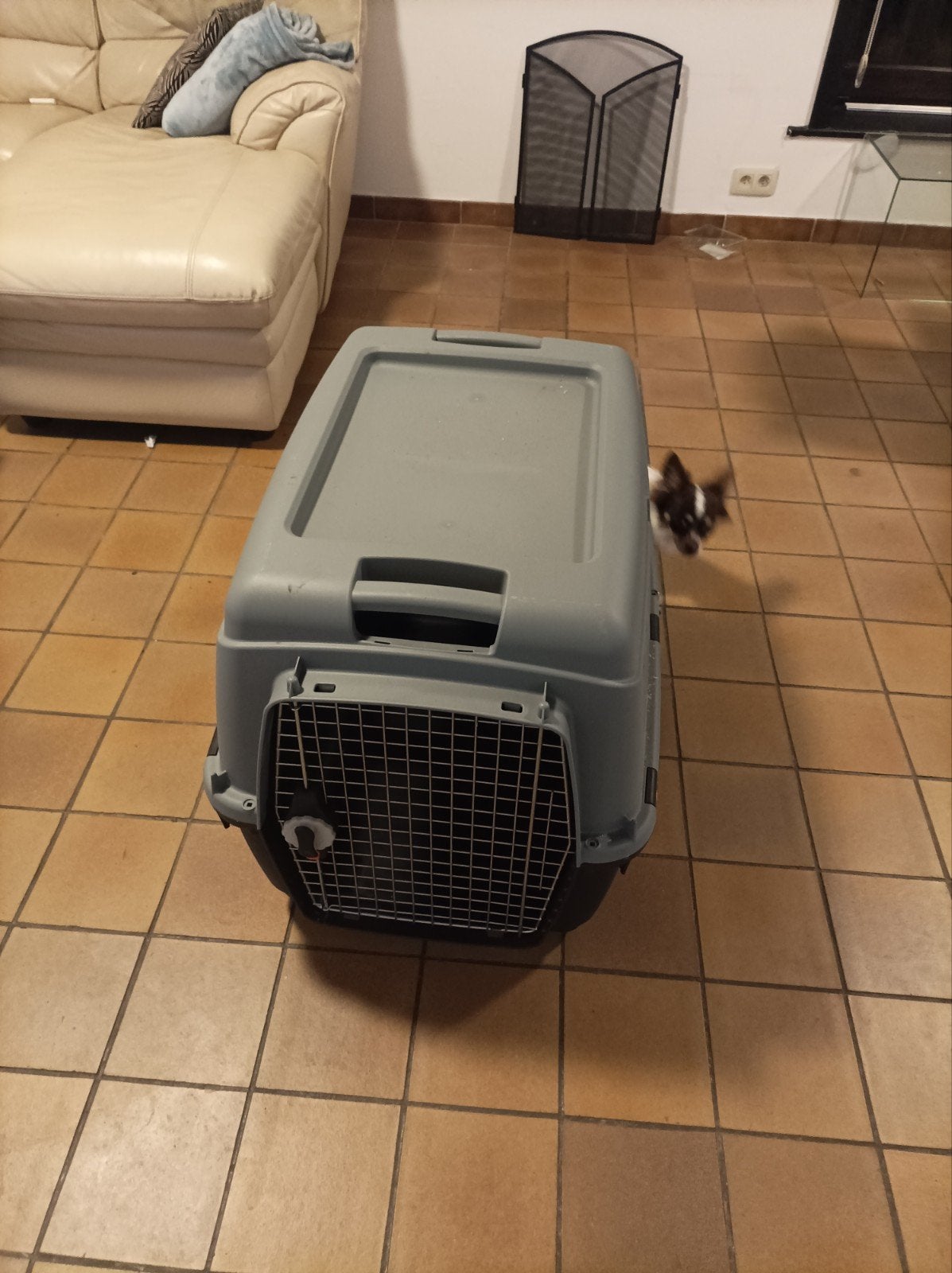 cage de transport, Animaux & Accessoires, Enlèvement, Comme neuf