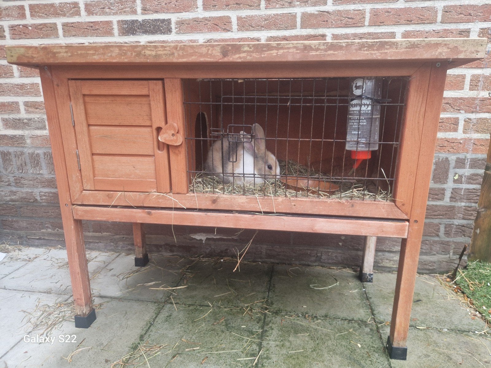 2 konijnen met hok, Dieren en Toebehoren, Ophalen, Gebruikt, Konijn, Hok