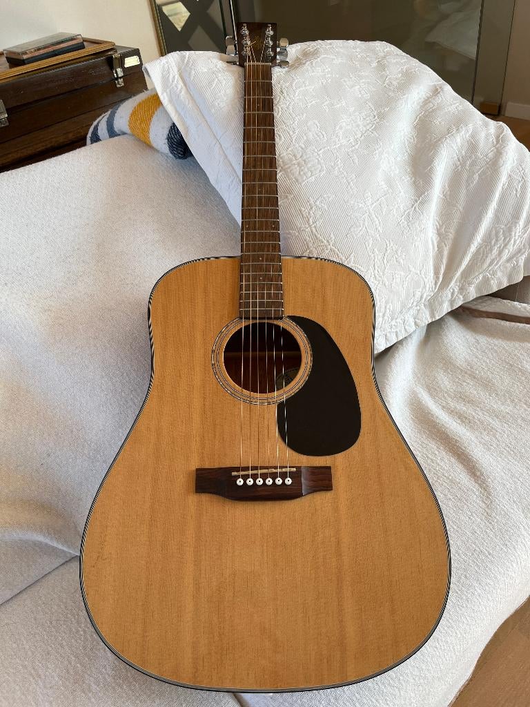 Guitare Acoustique, Musique & Instruments, Enlèvement, Utilisé, Guitare Western ou Guitare Folk, Avec valise