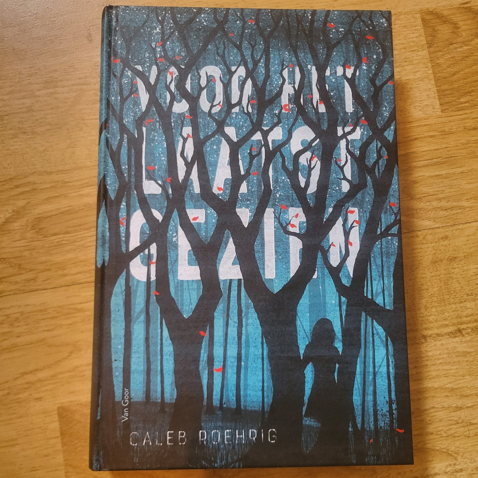 Caleb Roehrig - Voor het laatst gezien, Livres, Livres pour enfants | Jeunesse | 13 ans et plus, Enlèvement, Caleb Roehrig