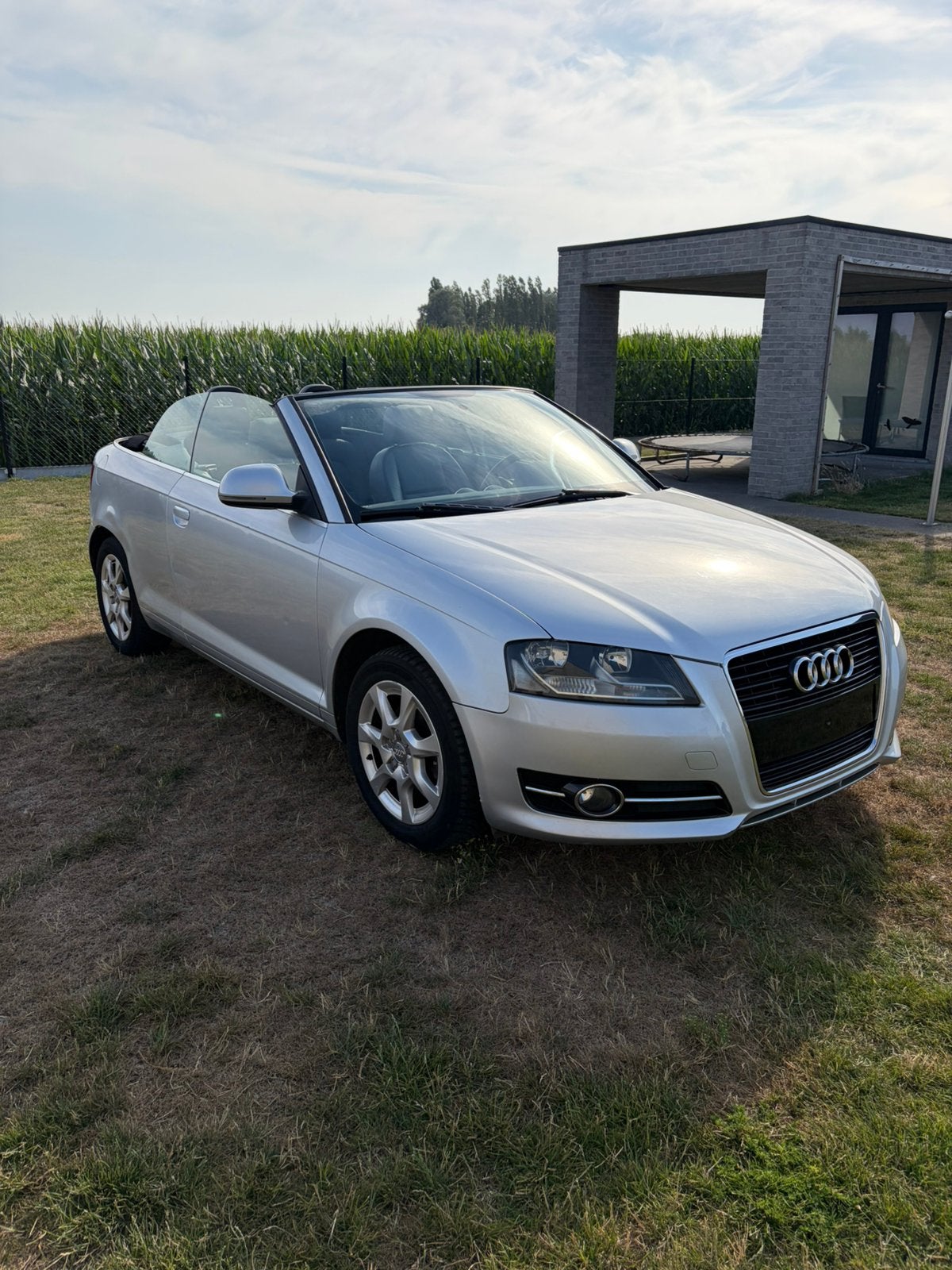 Audi A3 1.2 tfsi attraction cabrio, Autos, Cuir, Achat, Entreprise, Cabriolet