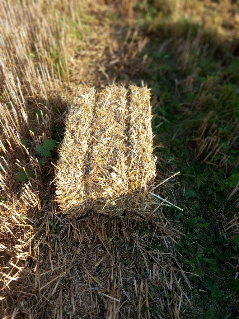 Kleine balen stro, Enlèvement
