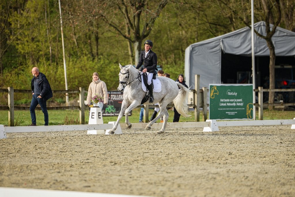 Braaf veelzijdig paard, Dieren en Toebehoren, Merrie, 11 jaar of ouder