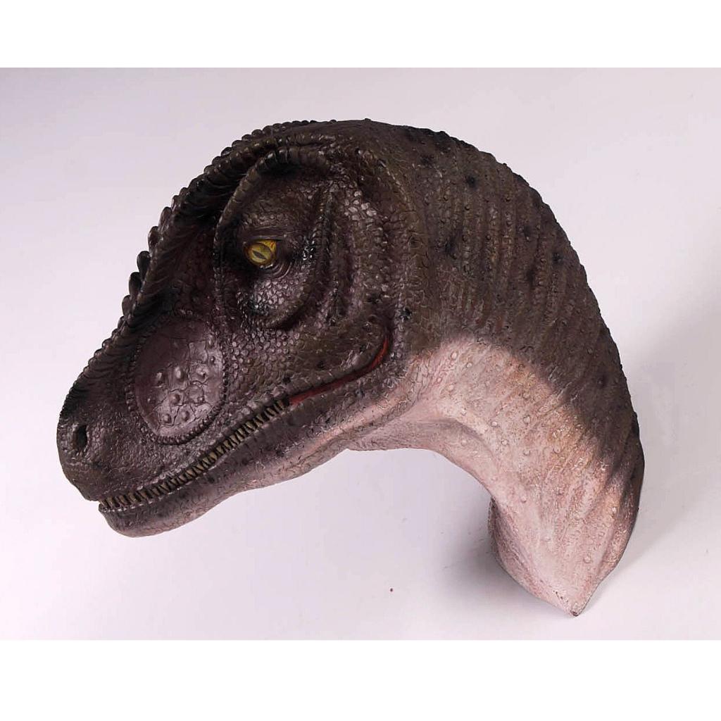 Tête de saurus Allo — Statue de dinosaure Longueur 59 cm, Enlèvement, Neuf