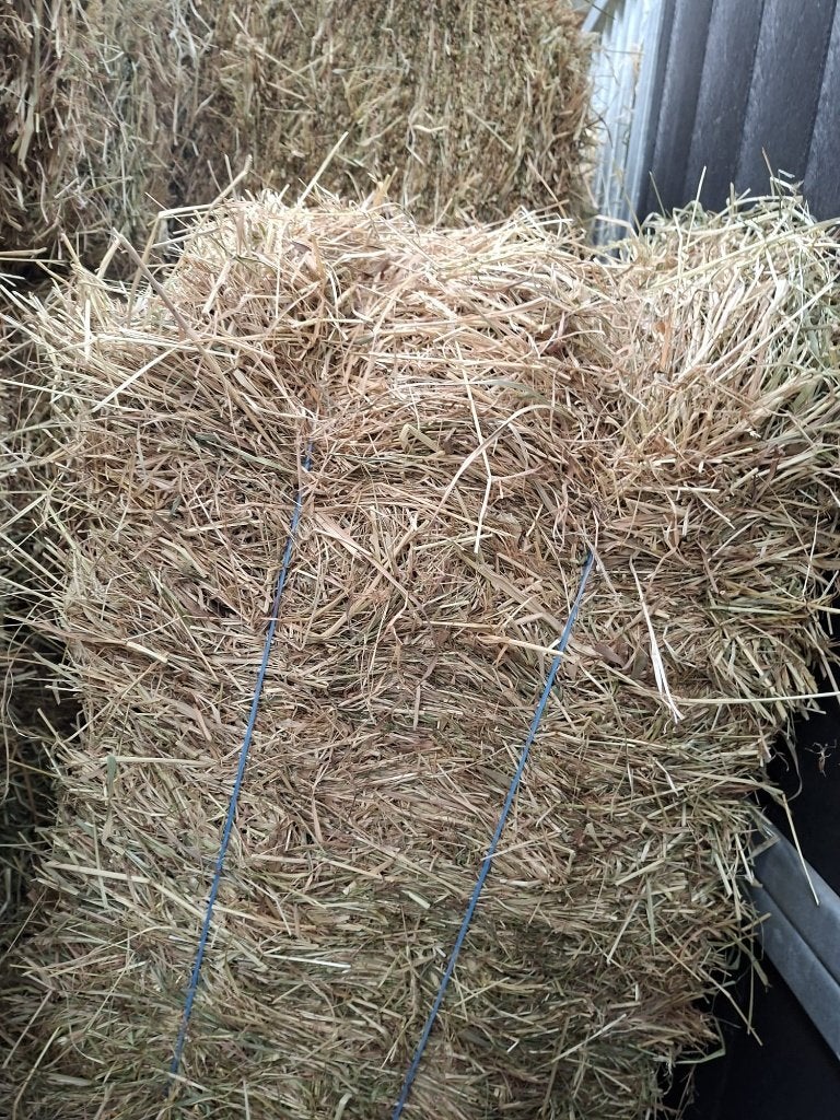 Hooi kleine pakjes, Ophalen, Overige soorten