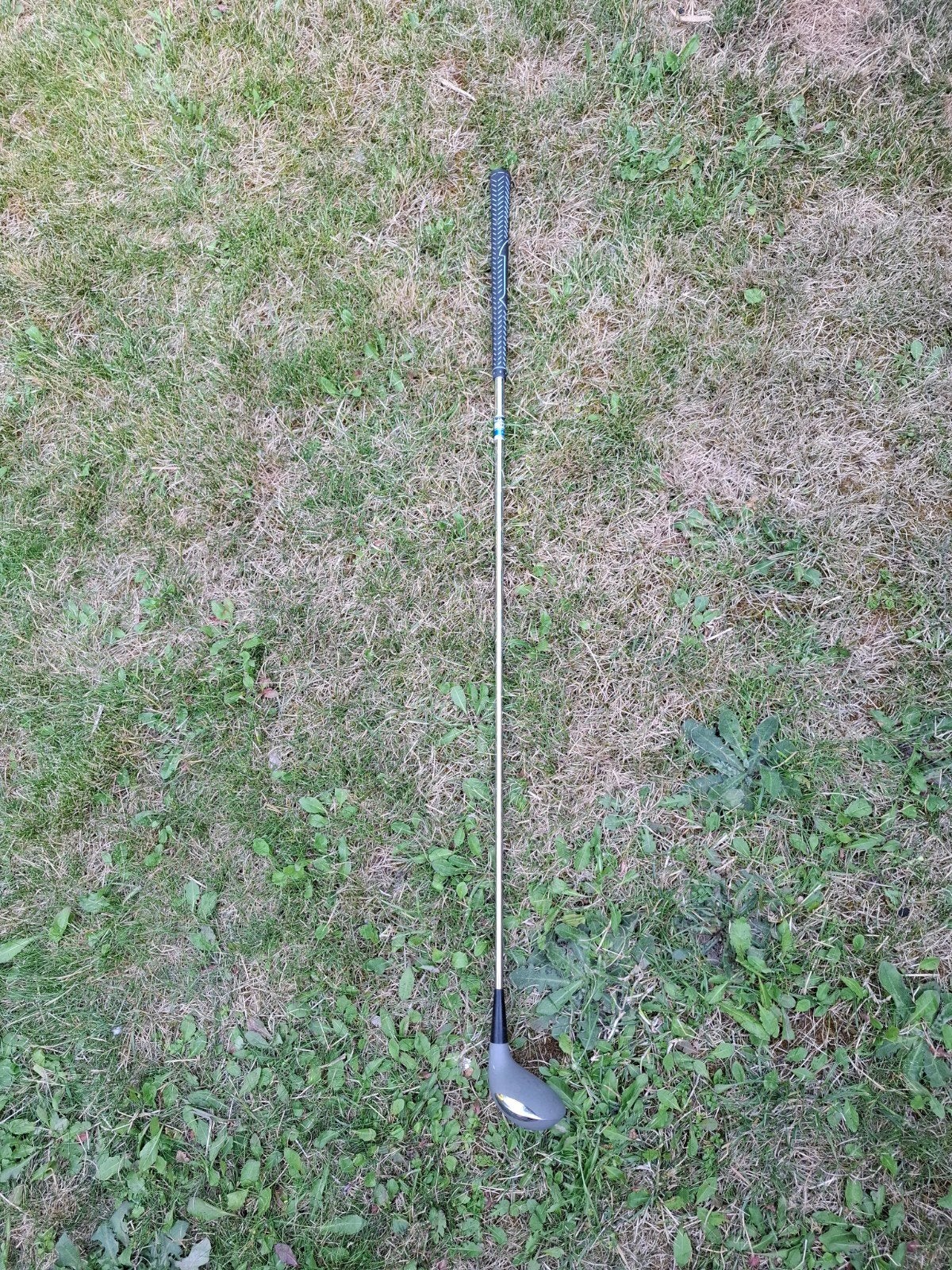 Tanaka Japan Houten 7 (Fairway Wood) – Dames Flex (Apollo Sh, Sport en Fitness, Golf, Club, Ophalen