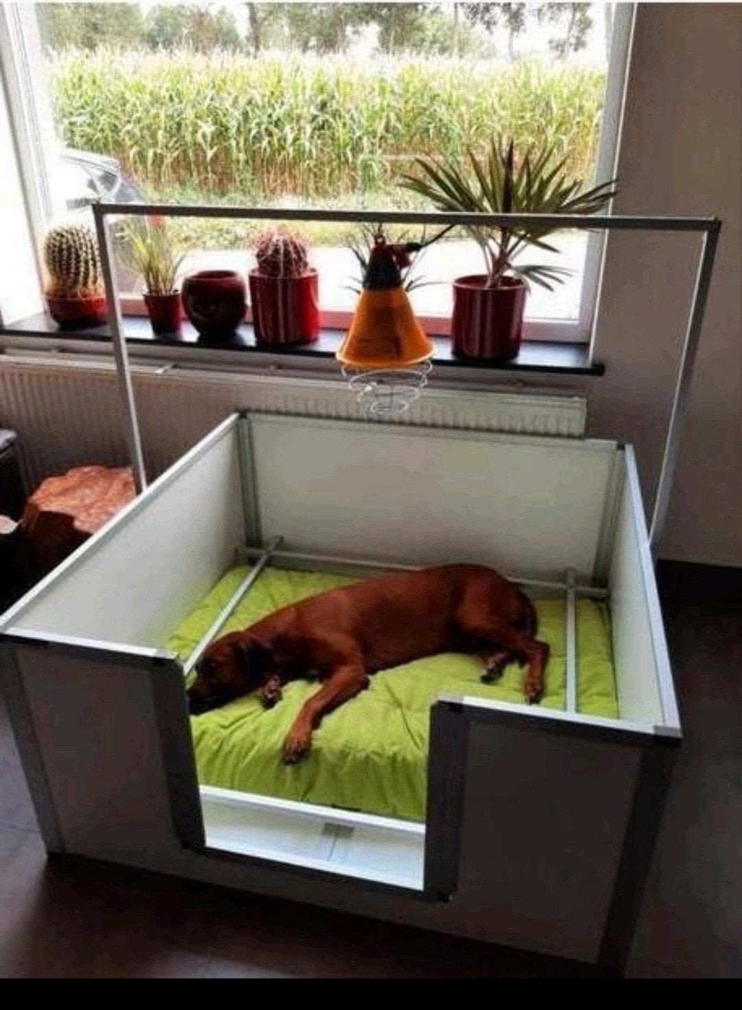 WERPKIST HUNDOS PRO + XL UITLOOPREN  TE HUUR, Dieren en Toebehoren, Hondenbenches, Verzenden, Zo goed als nieuw