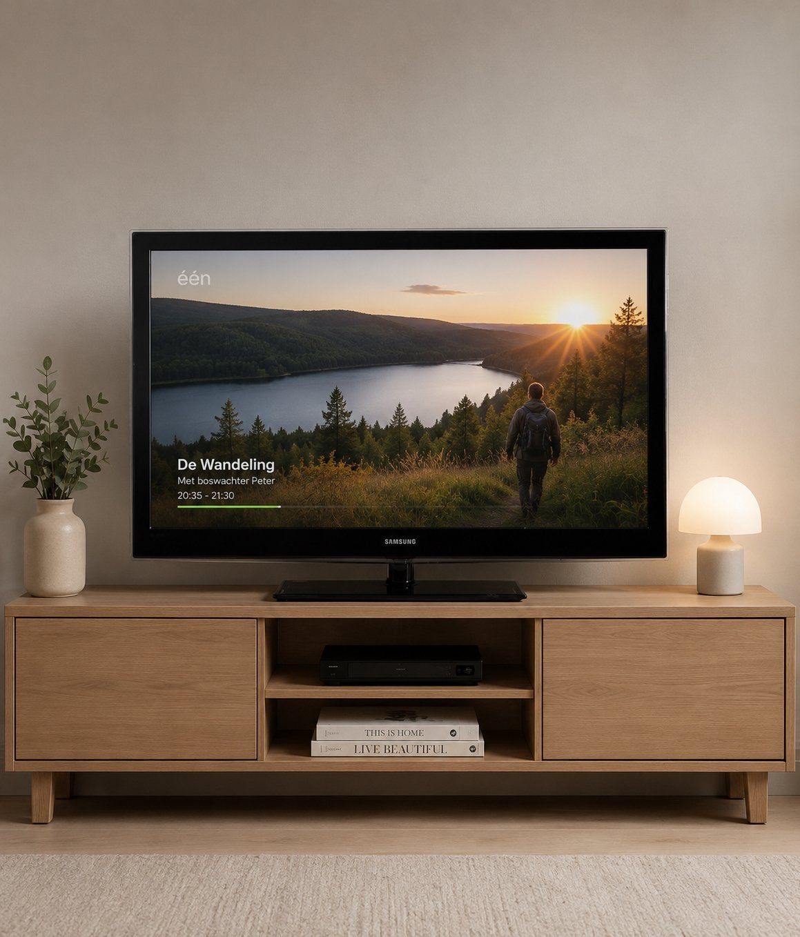 Samsung LED TV 55 inch  132/80, TV, Hi-fi & Vidéo, Télévisions, LED, Enlèvement, Utilisé, Full HD (1080p)