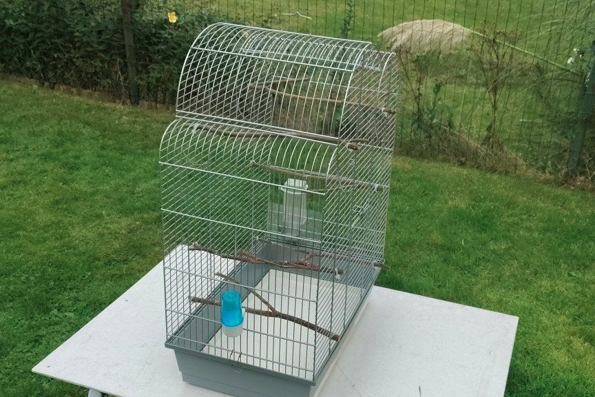 cage à oiseaux, Enlèvement, Cage à oiseaux