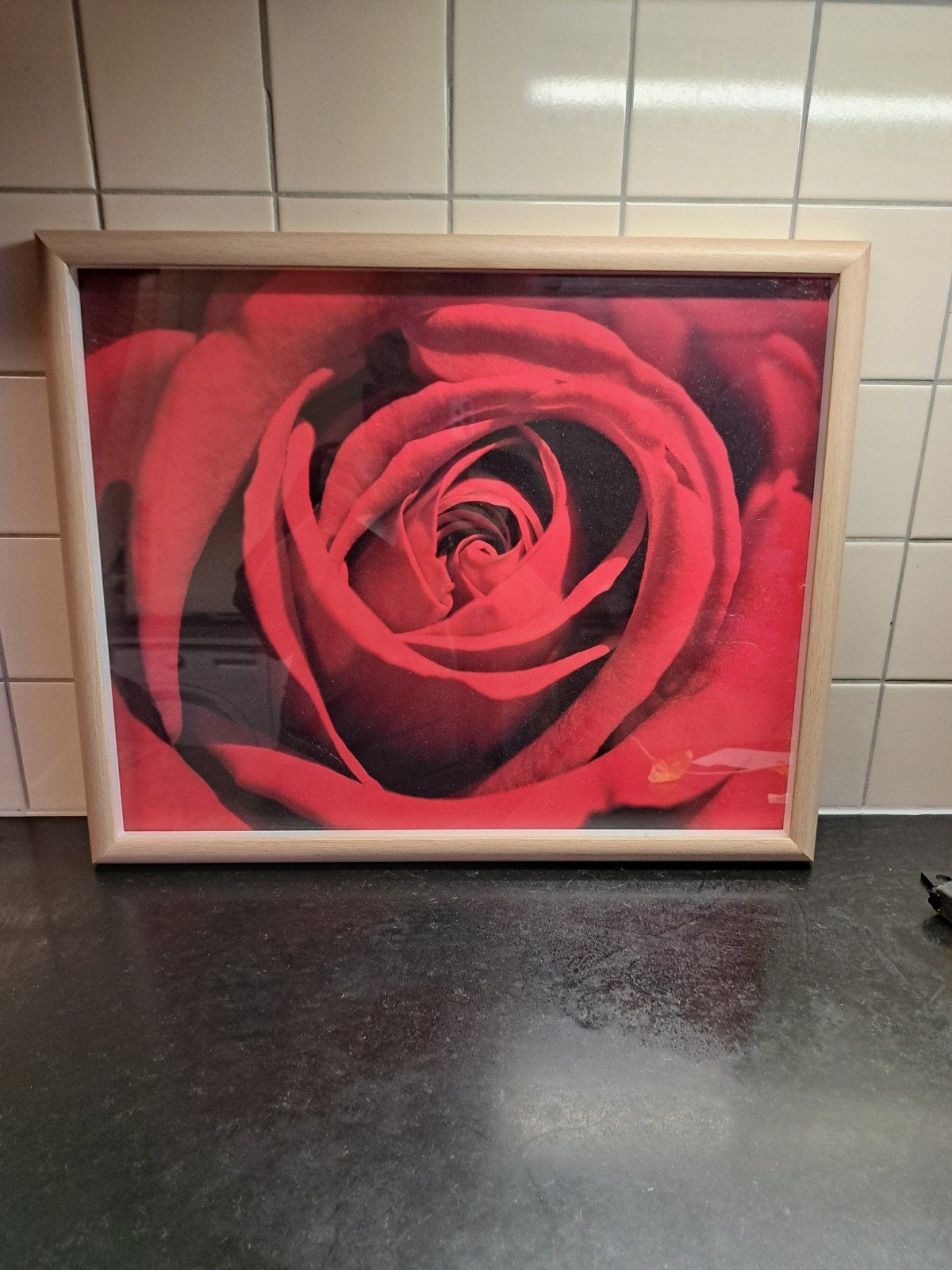 kader met rode roos, Ophalen of Verzenden
