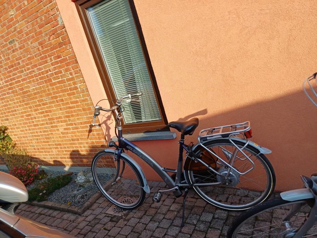 Elektrische fiets, Fietsen en Brommers, Ophalen